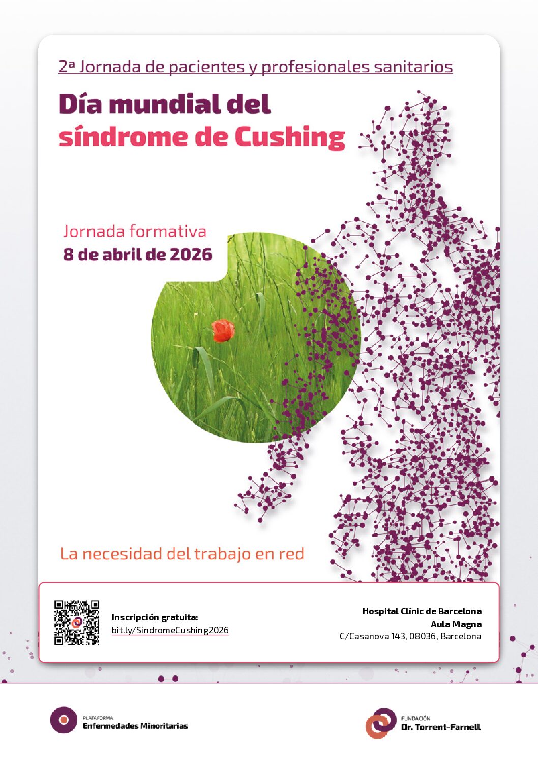 2ª Jornada sobre el Síndrome de Cushing: Un espacio de encuentro entre pacientes y profesionales
