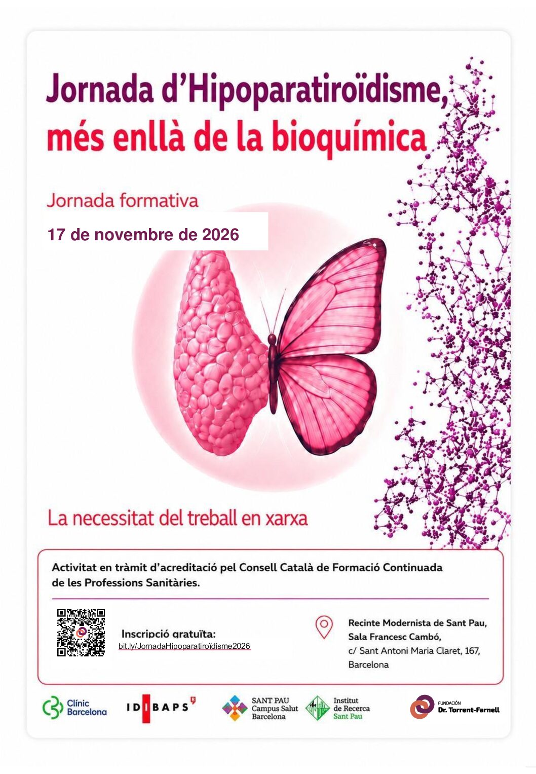 Jornada d’Hipoparatiroïdisme: més enllà de la bioquímica