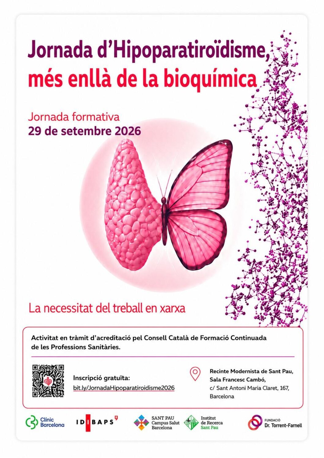 Póster de Jornada d’Hipoparatiroïdisme: més enllà de la bioquímica