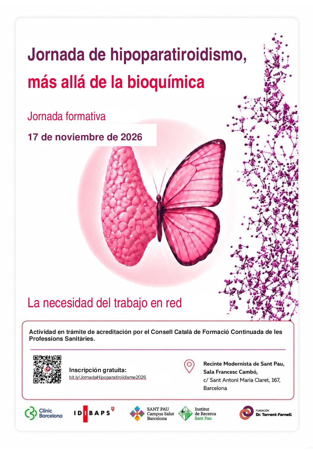 Jornada de Hipoparatiroidismo: más allá de la bioquímica