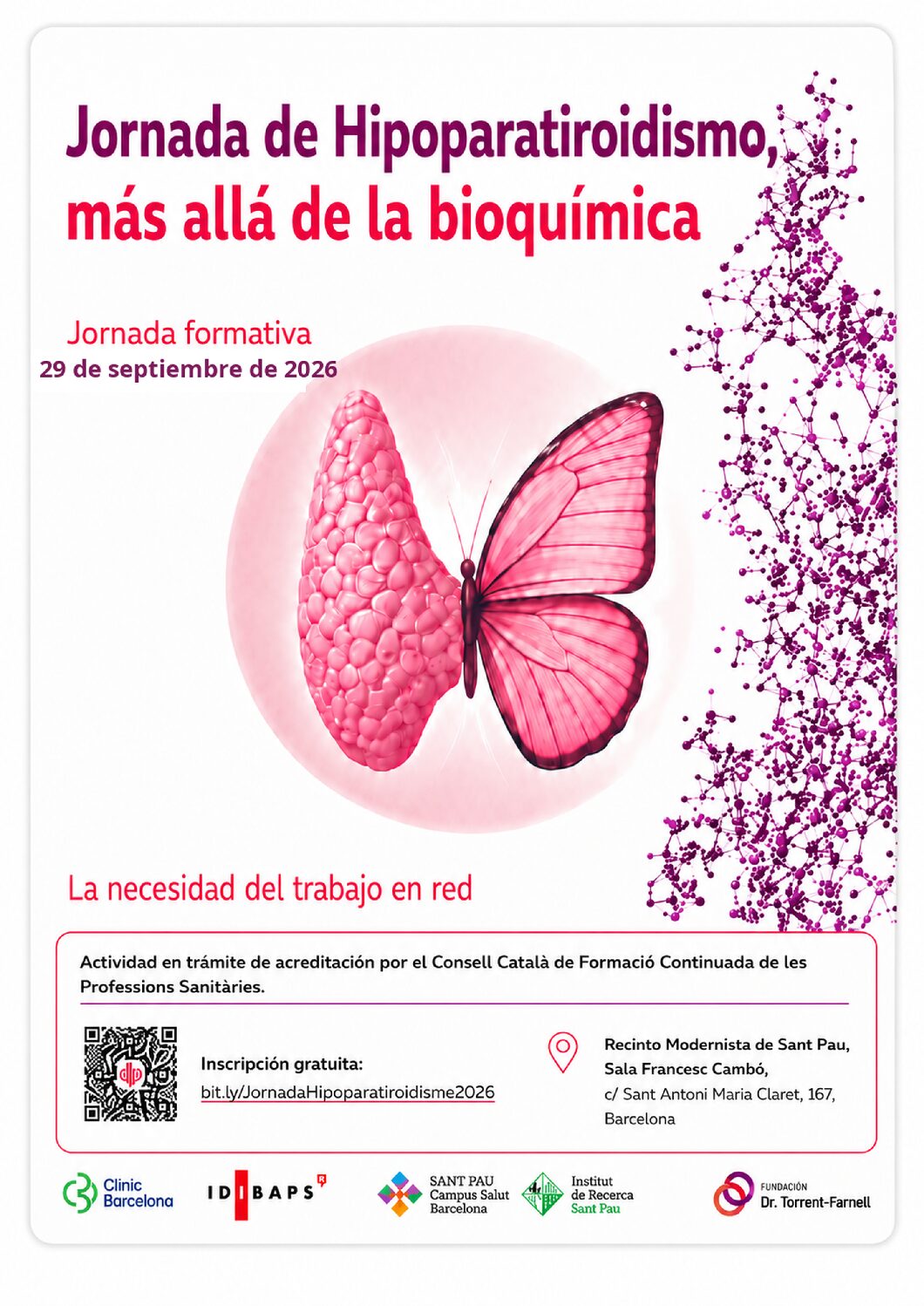 Jornada de Hipoparatiroidismo: más allá de la bioquímica